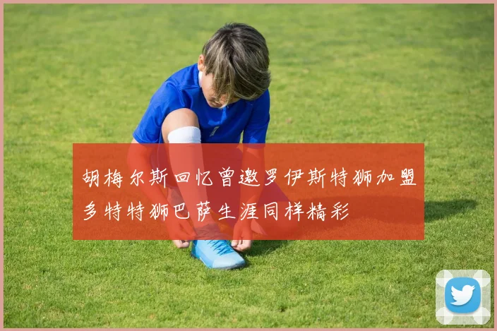 胡梅尔斯回忆曾邀罗伊斯特狮加盟多特特狮巴萨生涯同样精彩